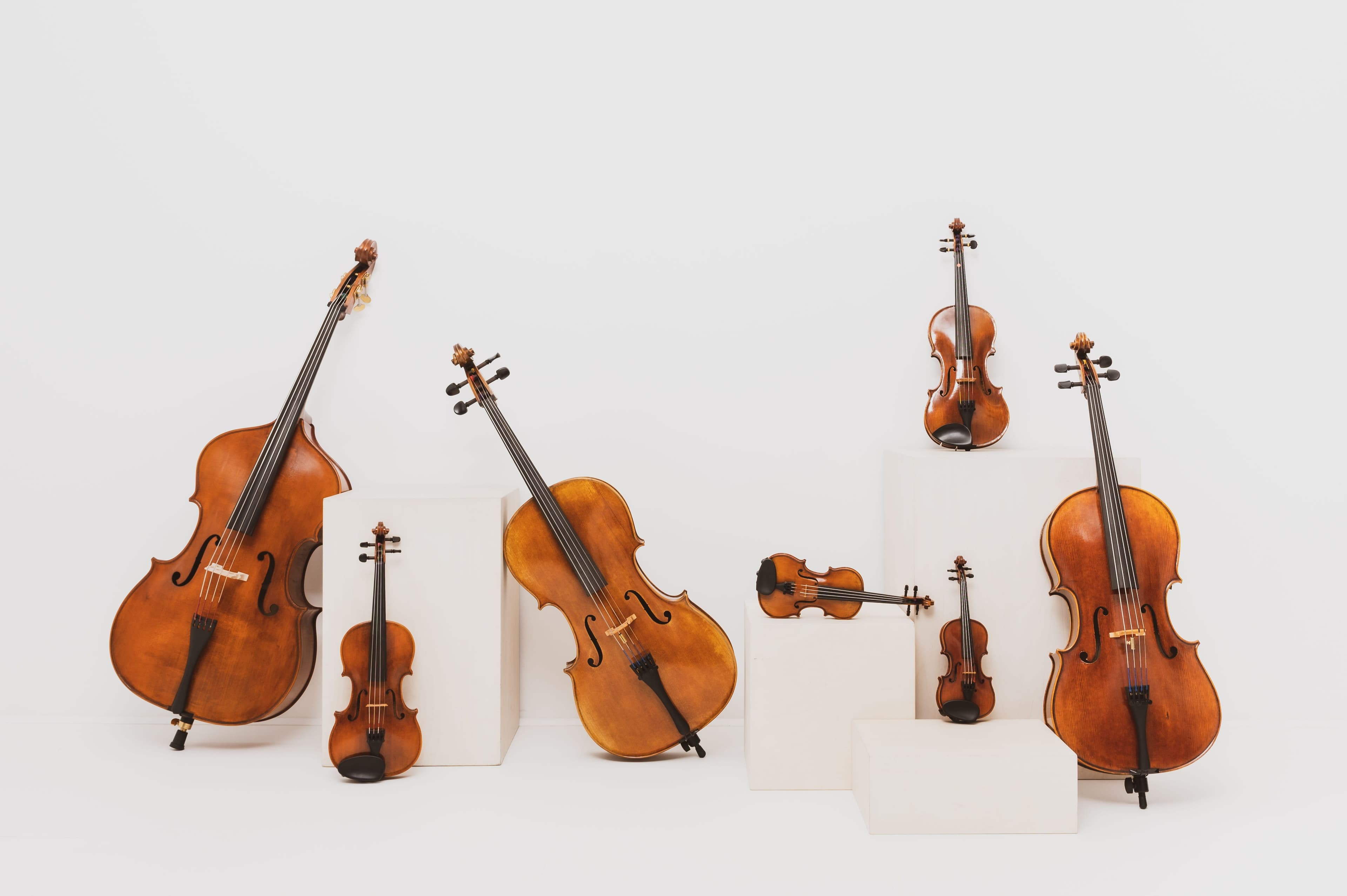 Verschiedene Streichinstrumente stehen an helle Kästen gelehnt vor hellem Hintergrund