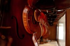 (c) Streichinstrumente-mieten.de